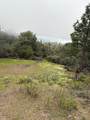 0 Jackass Ridge Rd - Photo 5