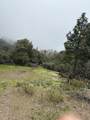 0 Jackass Ridge Rd - Photo 8