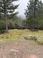 0 Jackass Ridge Rd - Photo 9
