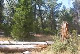 4801 Coyoteville - Photo 6