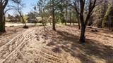 15300 Tyler Foote Road - Photo 10