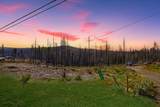 10020 Grizzly Flat Road - Photo 1