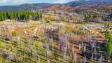 10020 Grizzly Flat Road - Photo 12