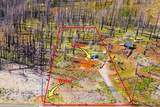 10020 Grizzly Flat Road - Photo 22