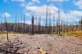 10020 Grizzly Flat Road - Photo 4