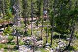 51515 Red Fir Drive - Photo 23