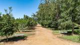 5210 Fine Road - Photo 18
