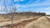 5210 Fine Road - Photo 5