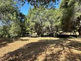 16705 Summit View Drive - Photo 10