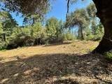 16705 Summit View Drive - Photo 13