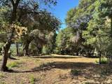 16705 Summit View Drive - Photo 3