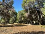 16705 Summit View Drive - Photo 5