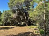 16705 Summit View Drive - Photo 6
