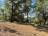 16705 Summit View Drive - Photo 7