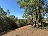 16709 Summit View Drive - Photo 3