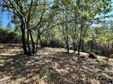 16709 Summit View Drive - Photo 6