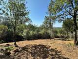 16709 Summit View Drive - Photo 8