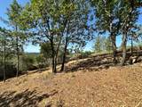 16709 Summit View Drive - Photo 9