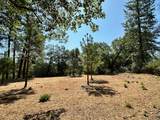 4003 Summit View Court - Photo 12