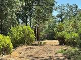 4003 Summit View Court - Photo 7