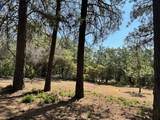 1855 Summit View Drive - Photo 11