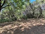 1855 Summit View Drive - Photo 13