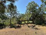 1855 Summit View Drive - Photo 17