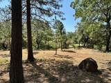 1855 Summit View Drive - Photo 3