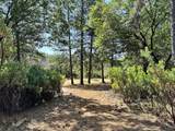 1855 Summit View Drive - Photo 4