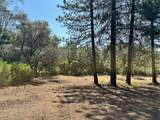 1855 Summit View Drive - Photo 6