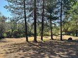 1855 Summit View Drive - Photo 7