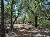 1845 Summit View Drive - Photo 10
