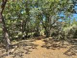 1845 Summit View Drive - Photo 11