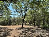 1845 Summit View Drive - Photo 3