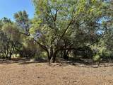 1845 Summit View Drive - Photo 4