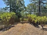 1845 Summit View Drive - Photo 8