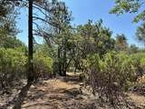 1845 Summit View Drive - Photo 9