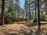 1835 Summit View Drive - Photo 10