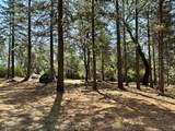 1835 Summit View Drive - Photo 11