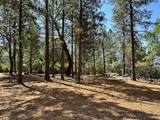 1835 Summit View Drive - Photo 12