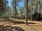 1835 Summit View Drive - Photo 13