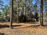 1835 Summit View Drive - Photo 14