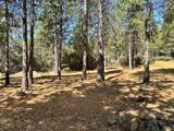 1835 Summit View Drive - Photo 2