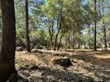 1835 Summit View Drive - Photo 21