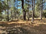 1835 Summit View Drive - Photo 22