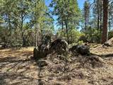 1835 Summit View Drive - Photo 24