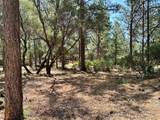1835 Summit View Drive - Photo 6