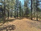 1835 Summit View Drive - Photo 7