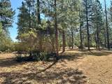 1835 Summit View Drive - Photo 8