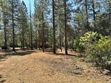 1835 Summit View Drive - Photo 9